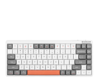 Tracer FINA 84 White/Grey - 1235808 - zdjęcie 4